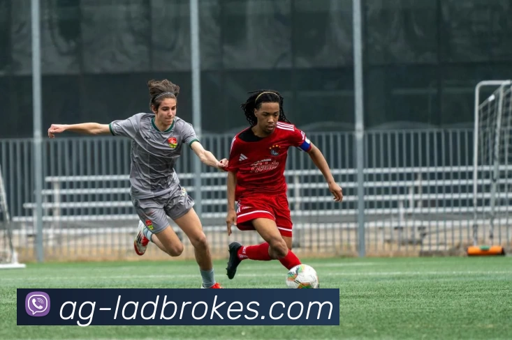 App Interface Preview